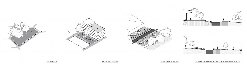 BN_diagramme_yz